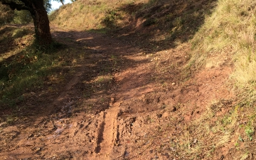PISTE