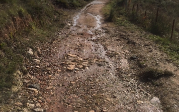 PISTE